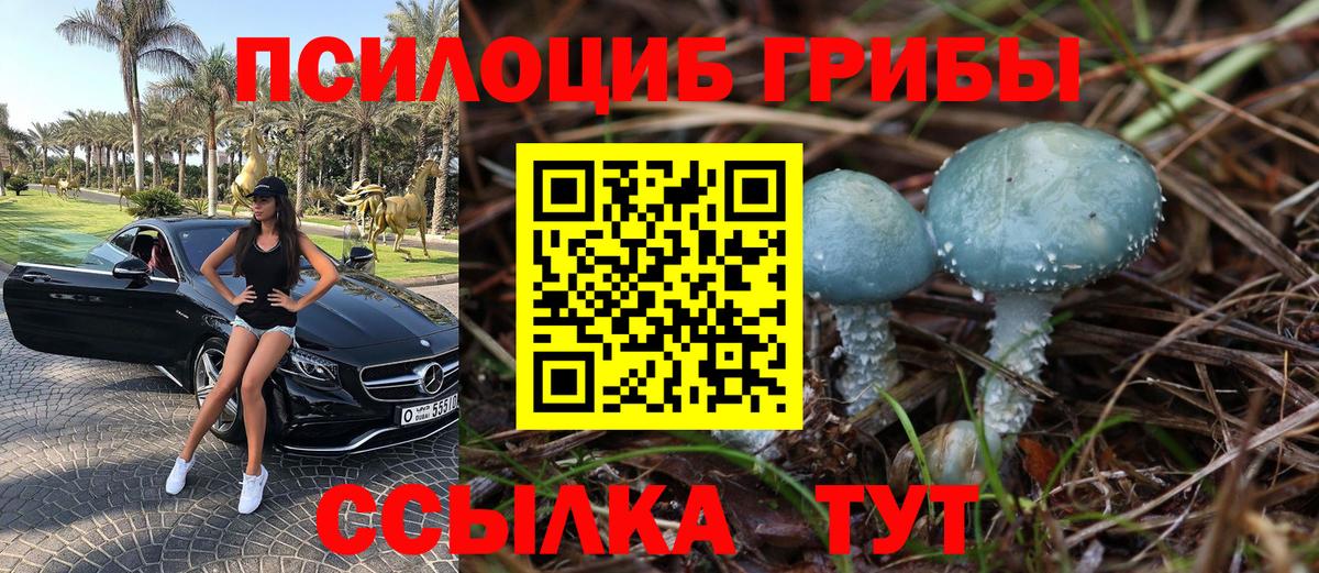 Псилоцибиновые грибы Magic Shrooms  Вход с VPN  Элиста 