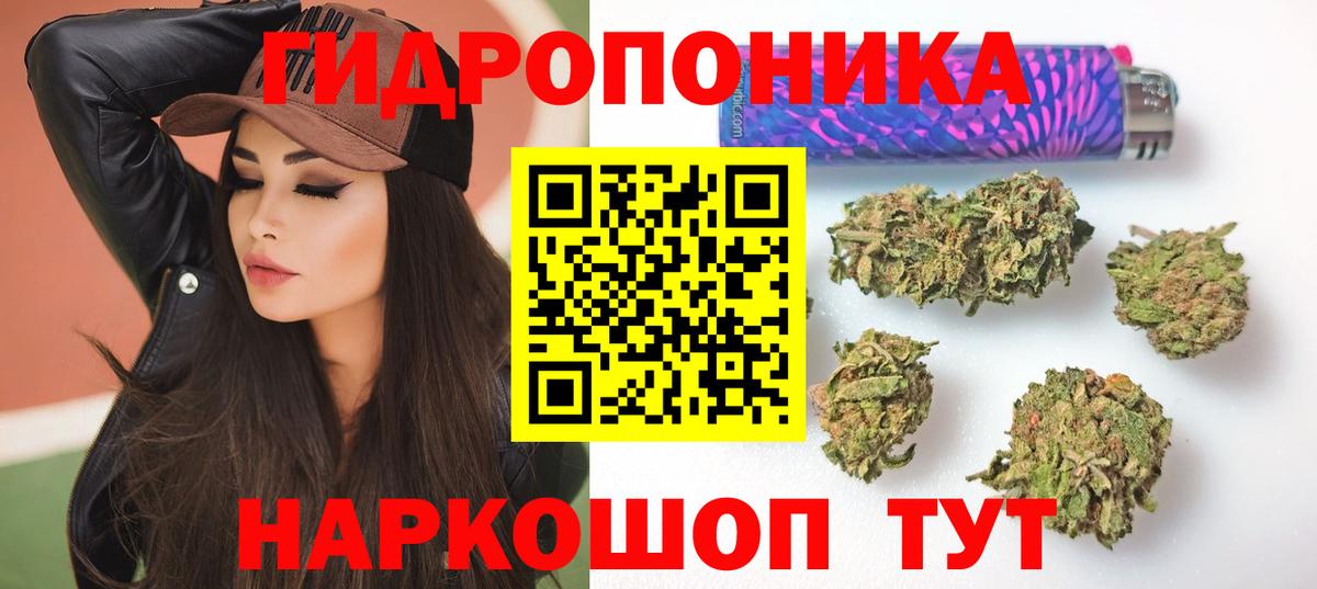 Марихуана сатива Элиста